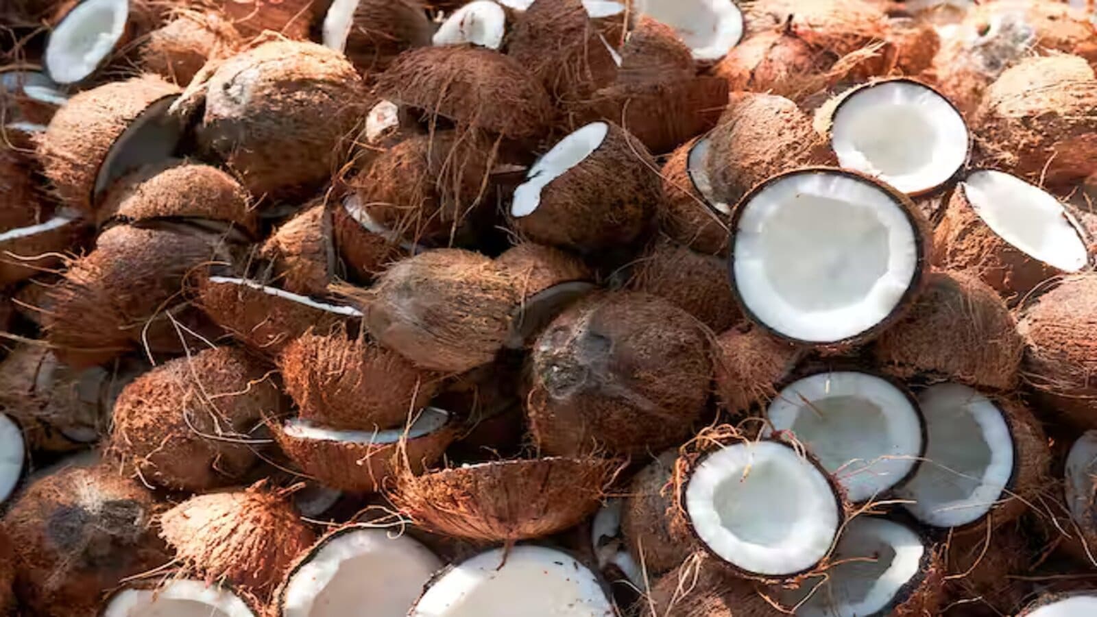 The World Bank invests US$200M to upscale coconut, cashew  production in Ghana