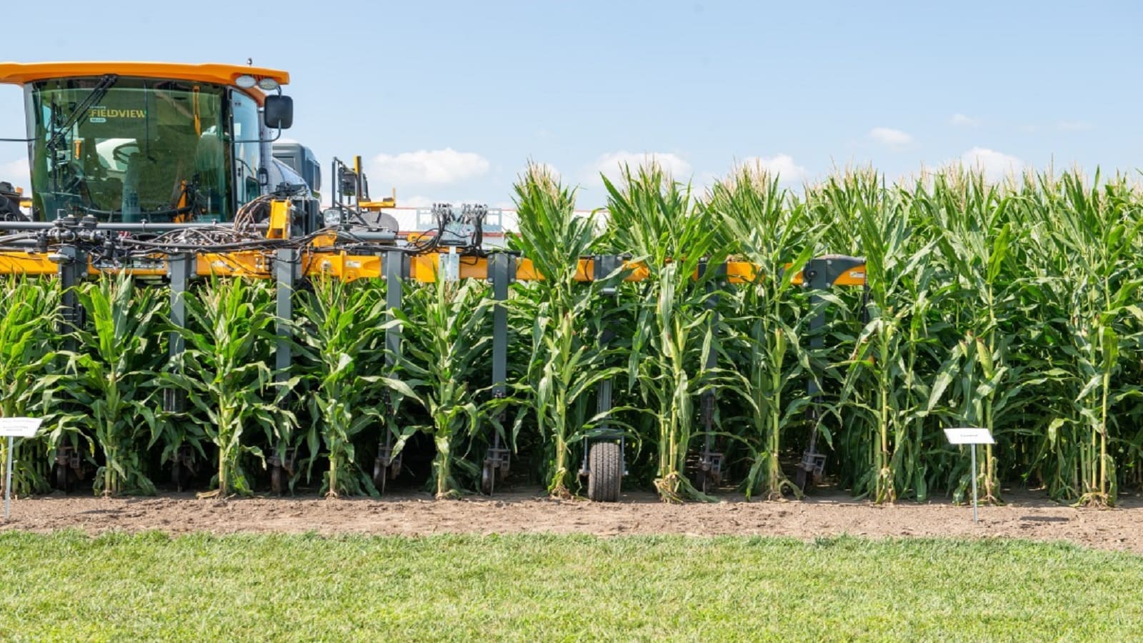 Bayer partners Pairwise for gene editing to develop short-stature corn