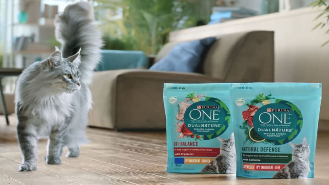 Nestl Purina Debuts Purina ONE DualNature First Carbon reduced Cat nestl-purina-debuts-purina-one-dualnature-first-carbon-reduced-cat