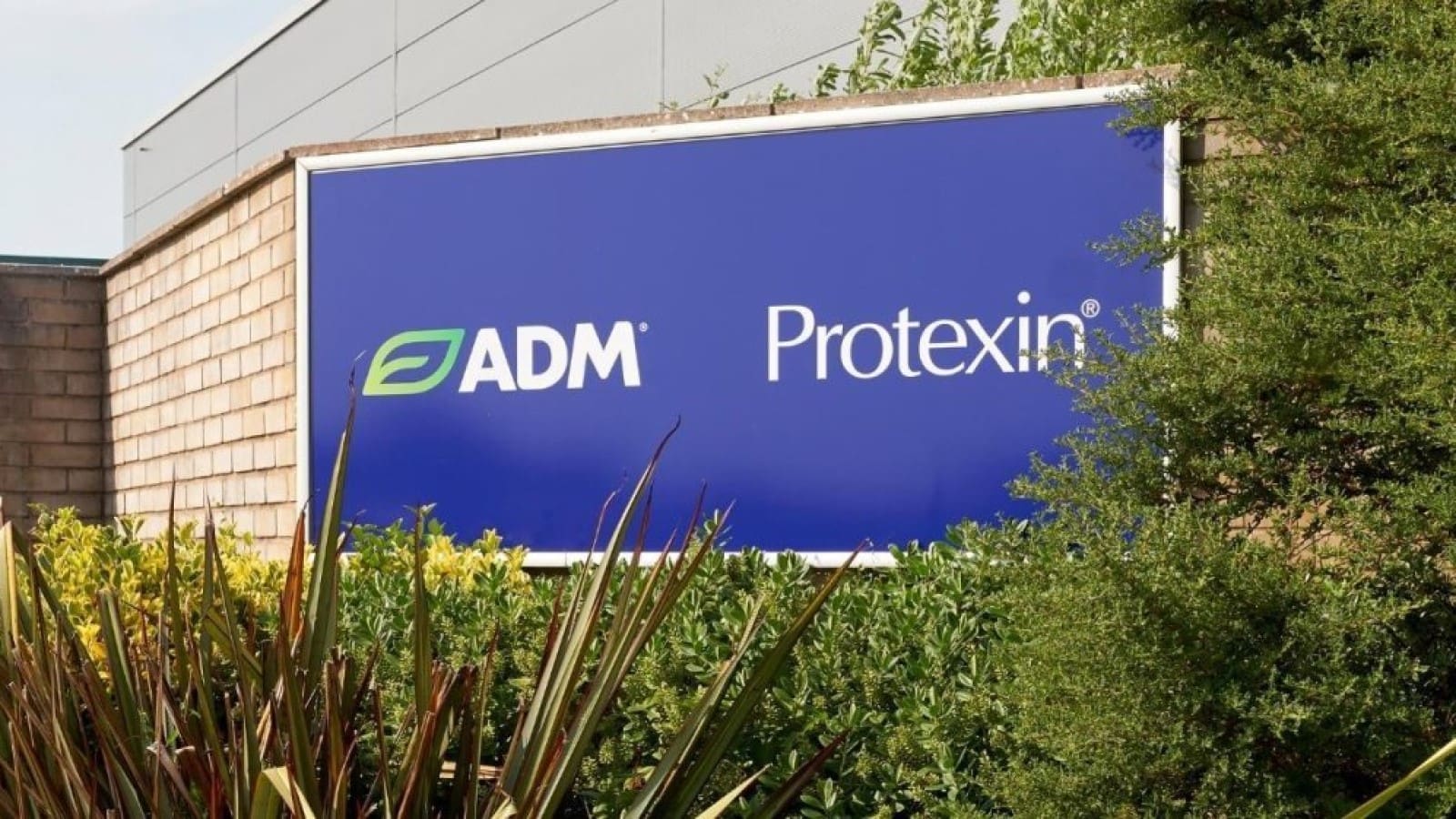 Nutramax, ADM Protexin expand global distribution of animal supplements