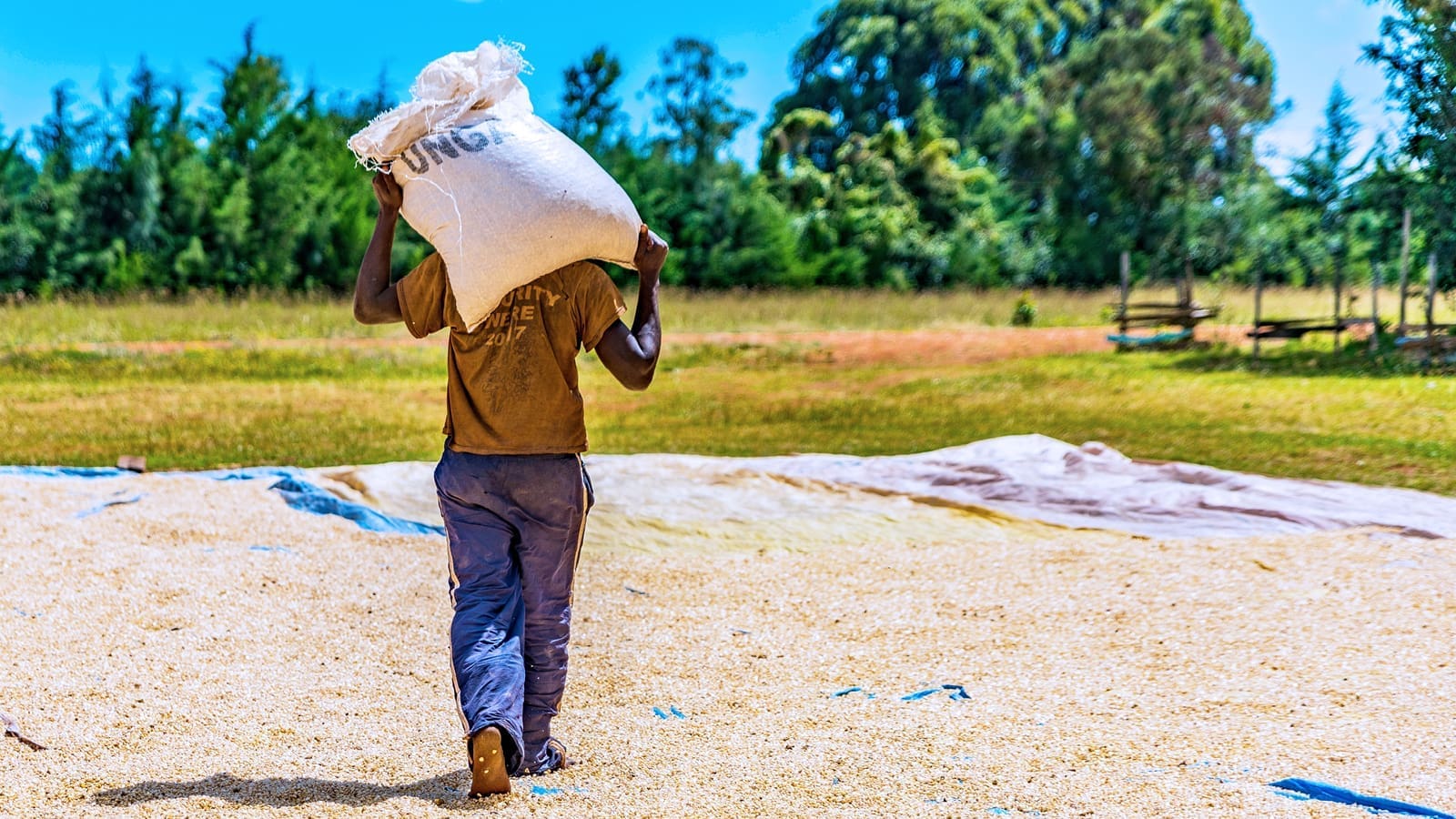 Grain Trade and Milling Industry Outlook for Eastern Sub-Saharan Africa Region 