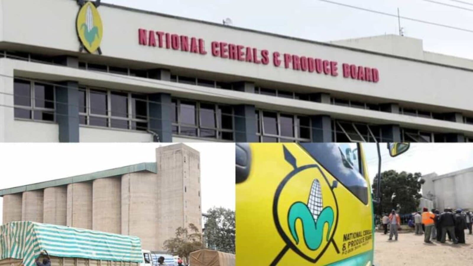 NCPB opens countywide stores, pegs maize price at KES 4000 per 90kg bag