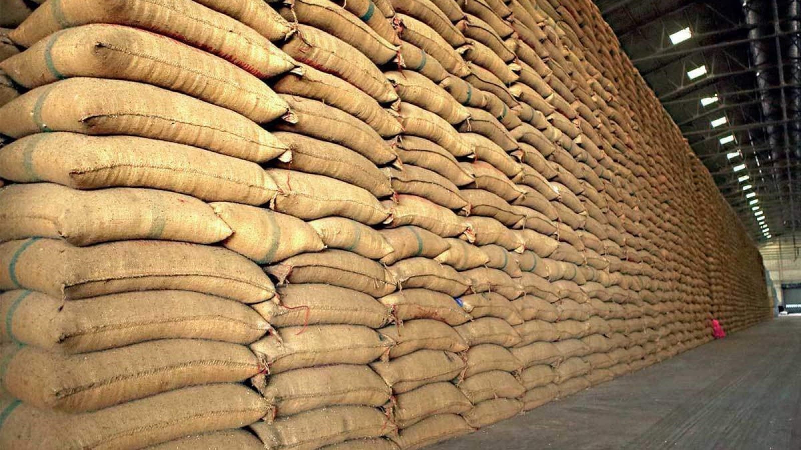 India’s ambitious grain storage expansion to tackle food security challenges 
