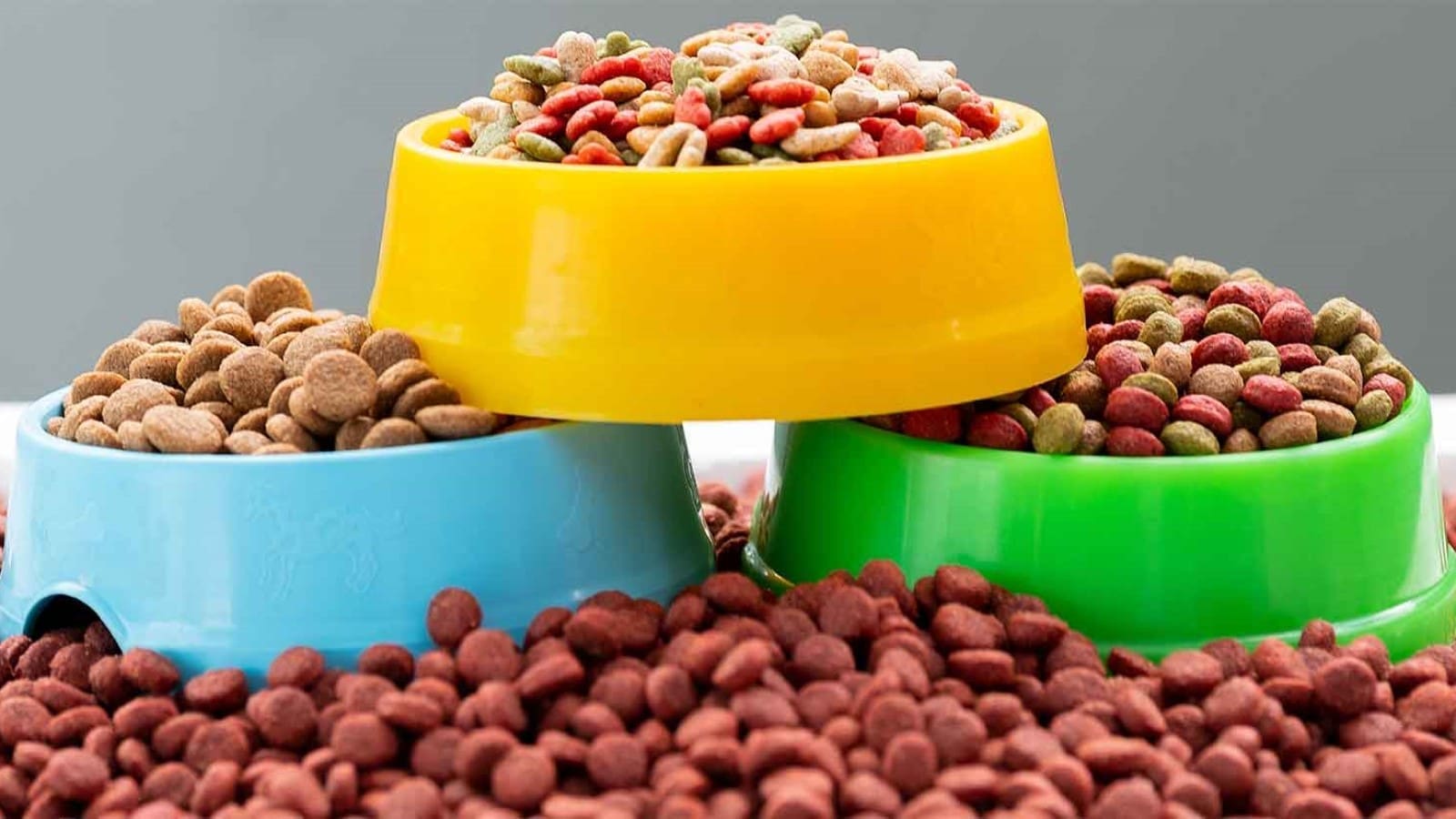 United Petfood expands presence with acquisition of Vital Petfood Group in Denmark