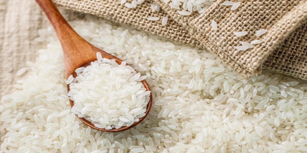 WACOT, GAIN and WFP launches fortified rice to fight micronutrient ...