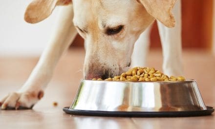 Post Holdings plans US$100M investment in pet food operations for 2024