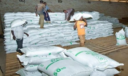 Kenya to double subsidized fertilizer to 12 million bags in 2024
