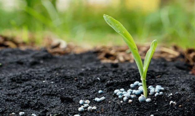 Benin government allocates US$40M for fertilizer subsidy in 2024/25