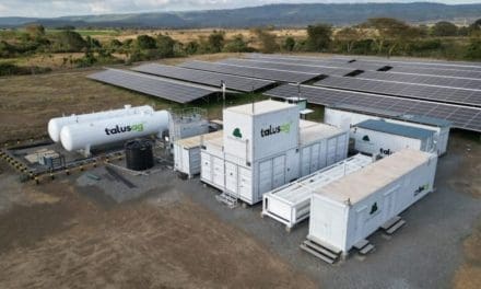Kenya Nut Company partners TalusAg to install first commercial on-site green ammonia system for carbon-free fertilizer production