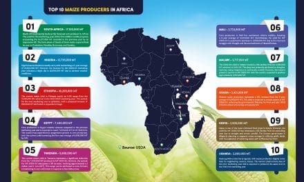  Top 10 Maize Producers in Africa – Marketing Year 2022/23