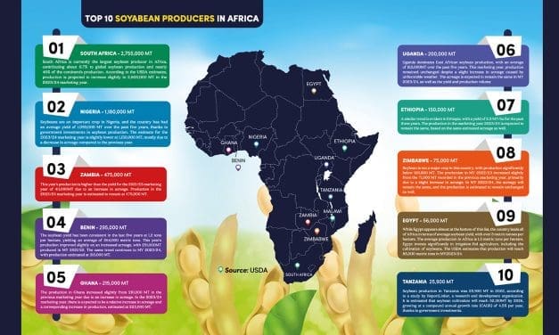 Top 10 Soybean Producers in Africa- Marketing Year 2022/23