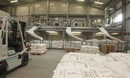 Angola opens the first wheat flour processing factory in the south-central region