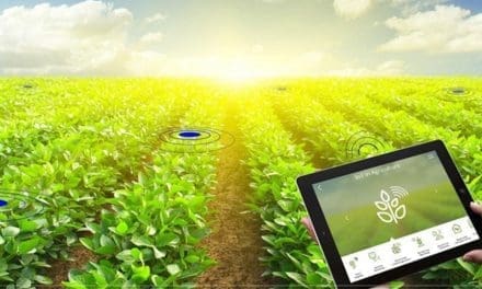 Tanzania launches a digital collection system to predict crop yields