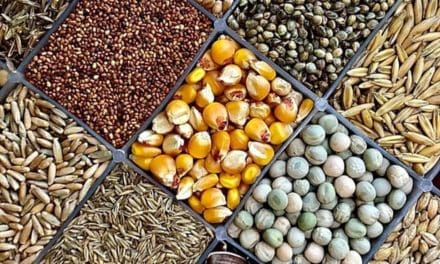 Quality seed critical to addressing Africa’s Agri-problems-AFSTA