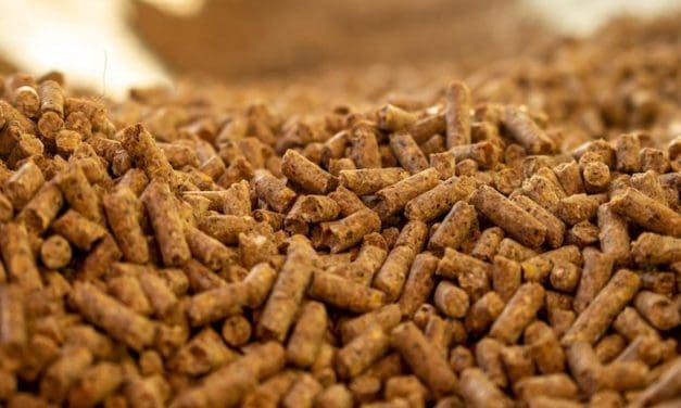 Cocaine-spiked animal feed seized in Spain: seven arrested in major bust