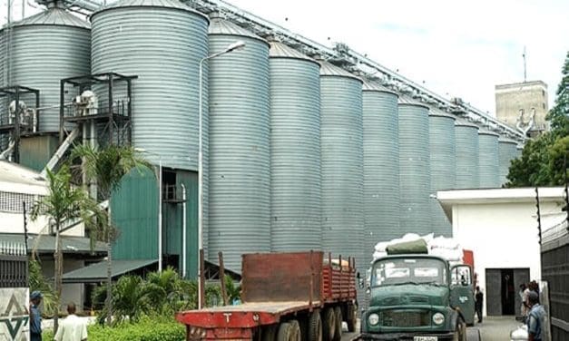 Grain Bulk Handlers Ltd loses 24-year grain handling monopoly at Mombasa port