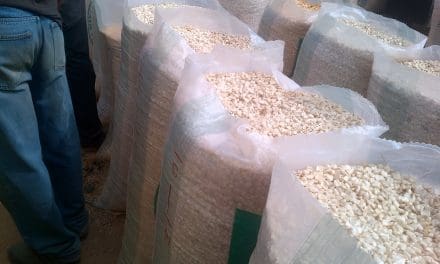 Rwanda cracks down on middlemen exploiting maize farmers