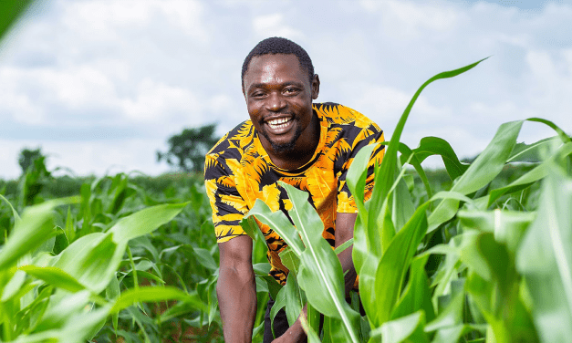 Advancing Maize Security in Africa 