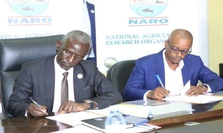 NARO signs agreement, grants licenses to 10 seed companies in a push to tame fake seeds in Uganda