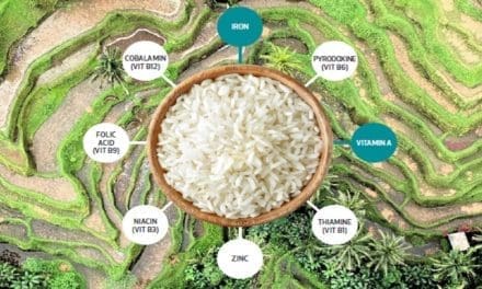 Experts recommend rice fortification as a measure to combat anemia in Nigeria