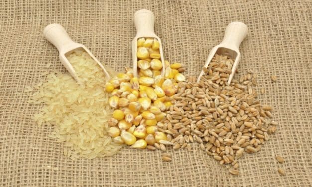 Nigerian corn, rice to decline on rising insecurity in grain-producing regions