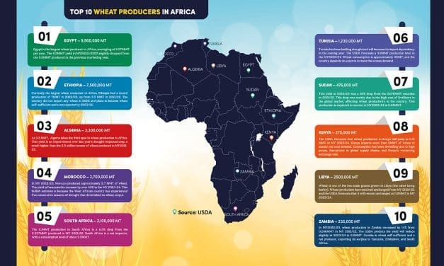 Top 10 Wheat Producers in Africa- Marketing Year 2022/23