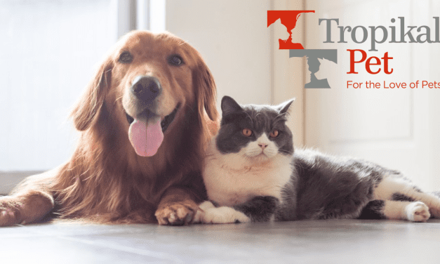 Turkish pet food producer sets sights on US expansion with US$9M funding
