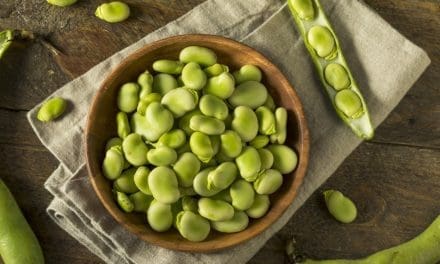 Protein Industries Canada commits US$9.7M to fava bean research