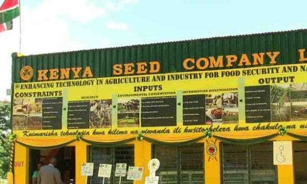 Kenya Seed Company ambitious to meet growing seed demand in the region