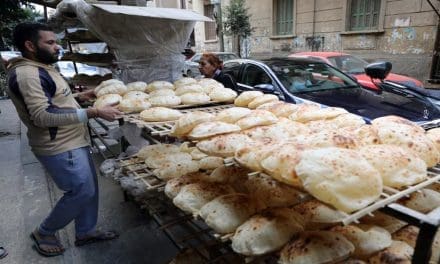 Egypt’s efforts to lower bread prices hit roadblocks despite a significant drop in the price of flour