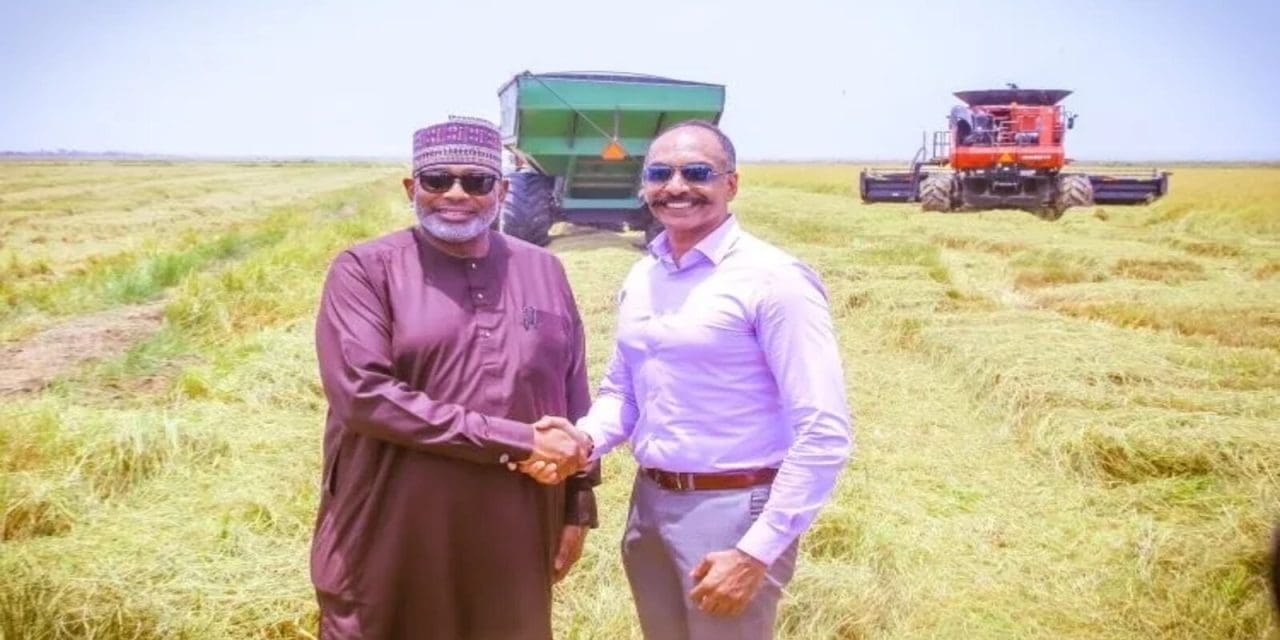 Federal Government lauds Olam Agri’s rice production investments in ...