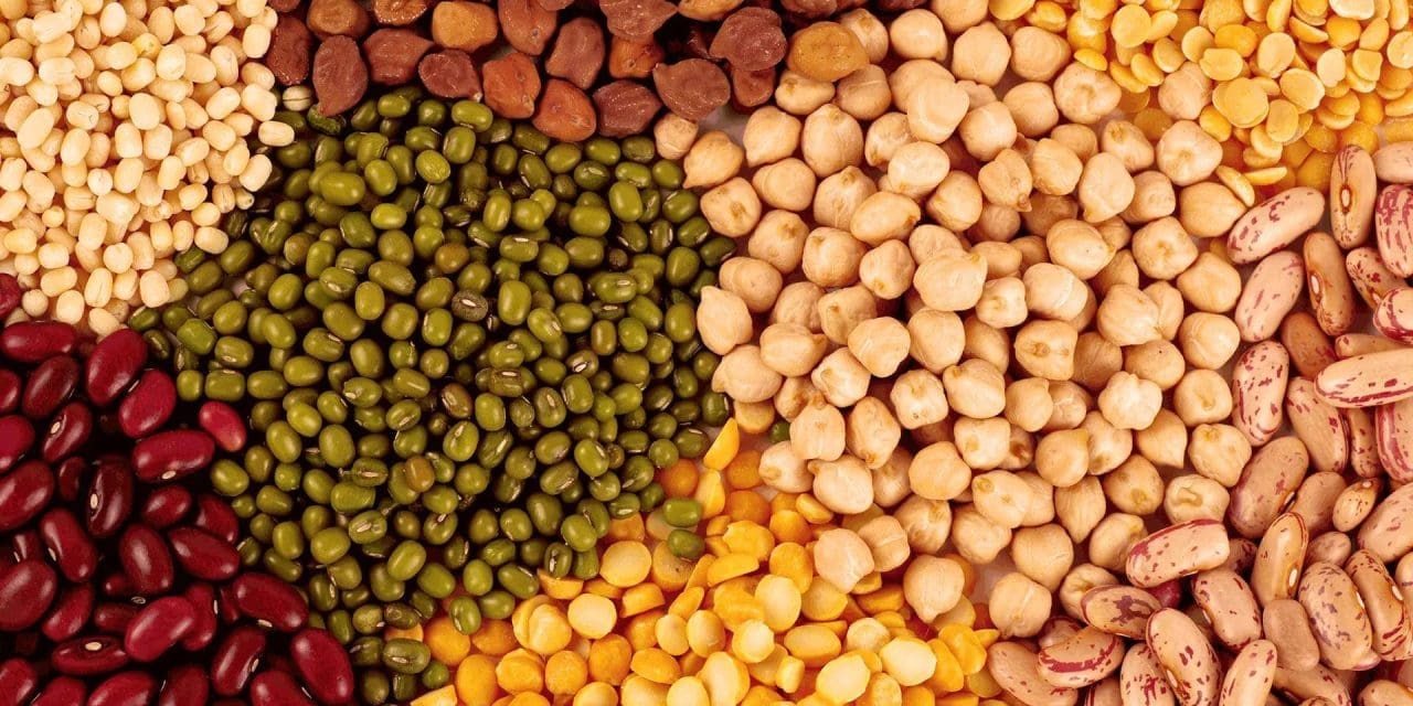 EAGC launches EthiopiaKenya pulses corridor project to boost inclusive